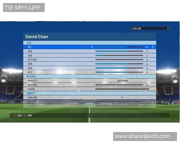 足球明星各自位置解析与职业生涯发展探讨 足球明星各自位置解析与职业生涯发展探讨